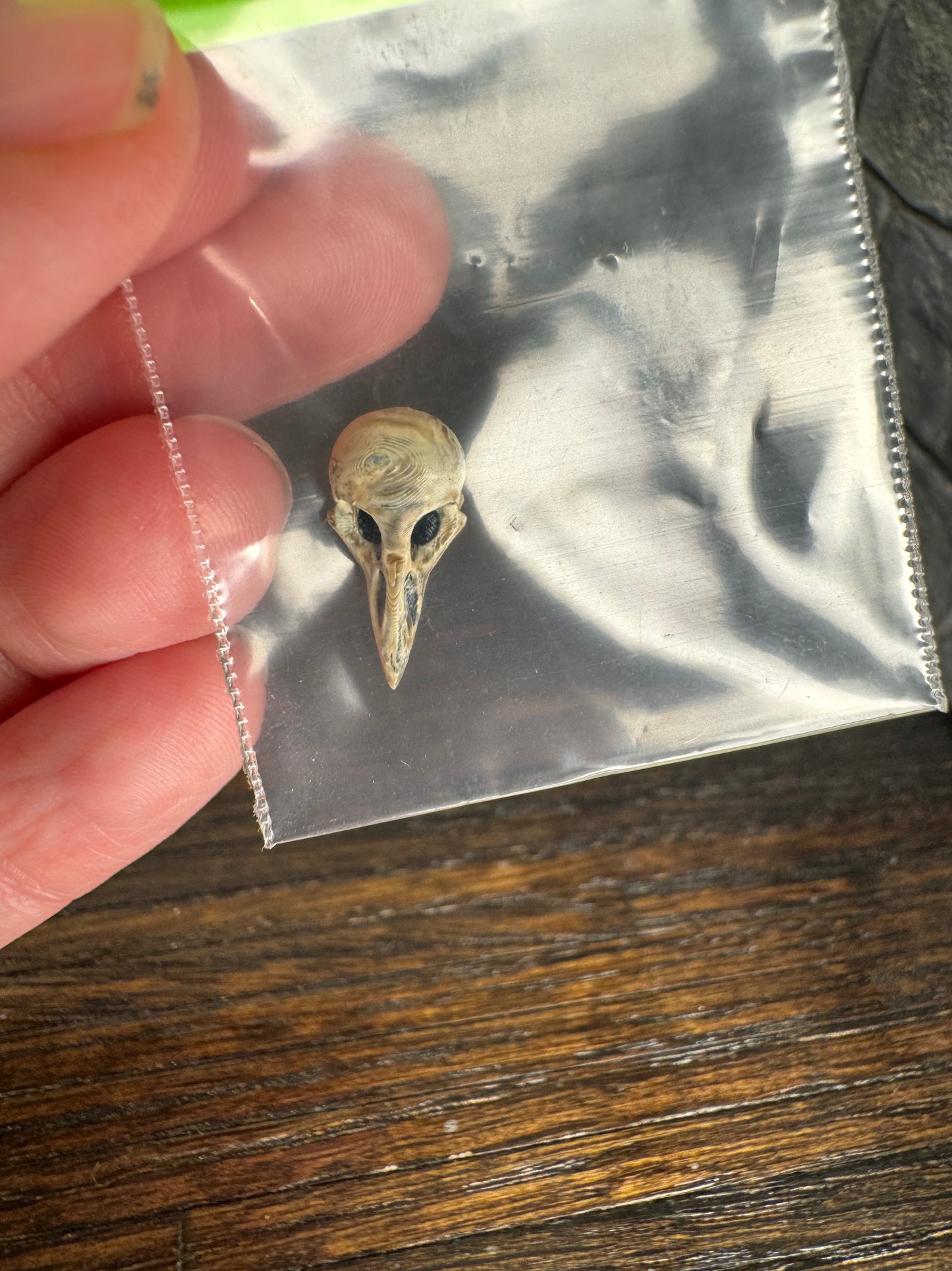 Raven/Crow Skull - 1:12 Scale
