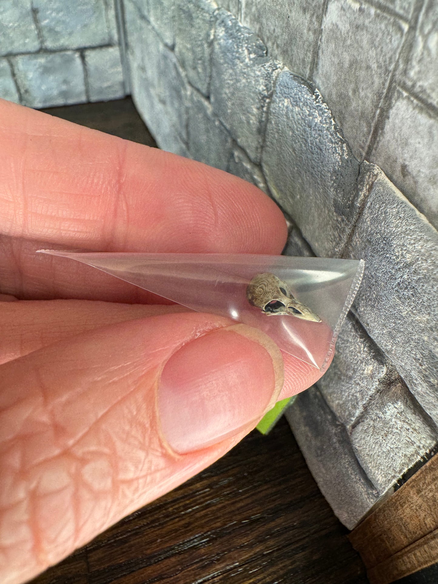 Tiny Bird Skull - 1:12 Scale