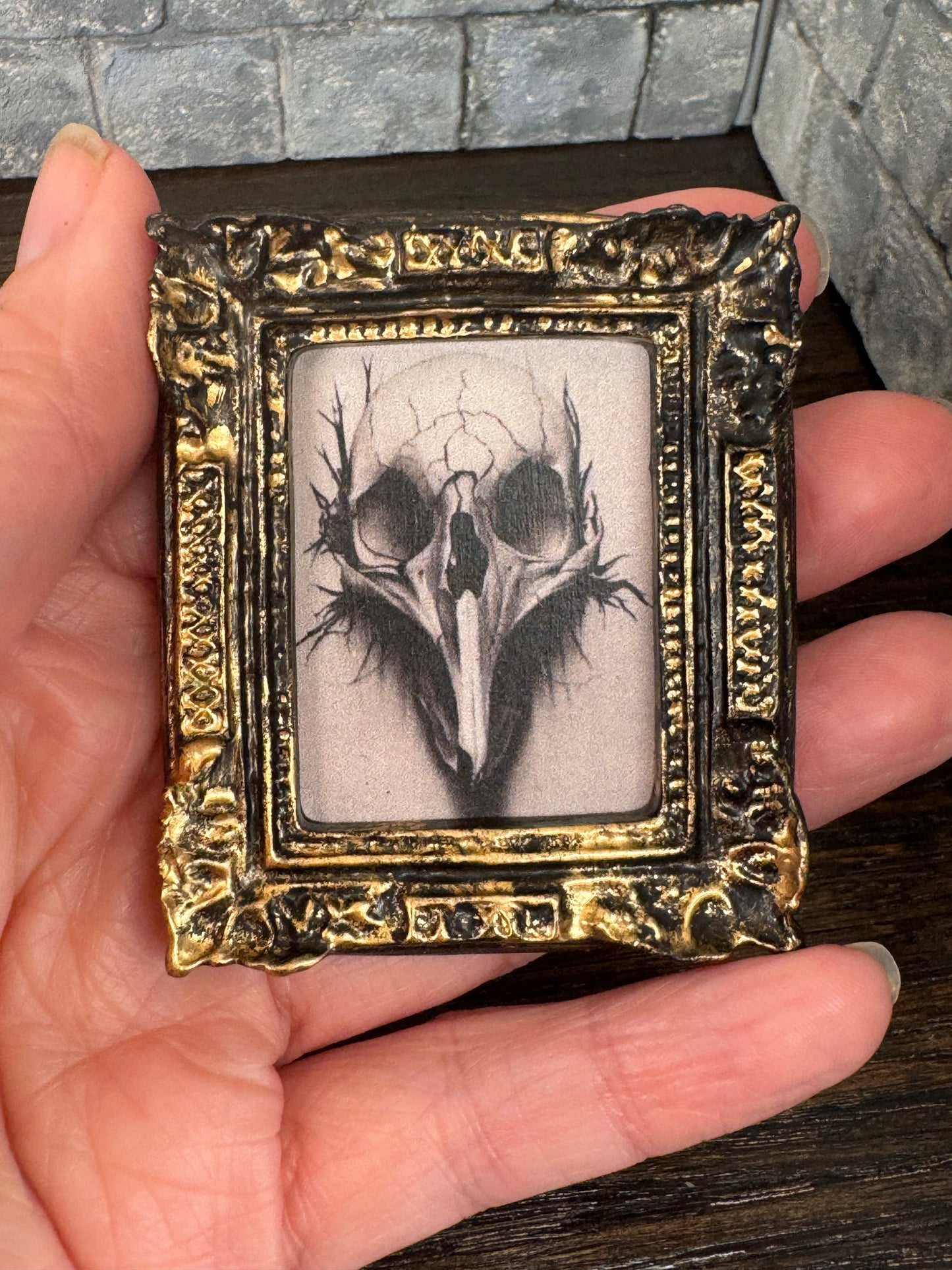 Raven/Crow/Bird Skull Framed Printed Art - 1:12 Scale