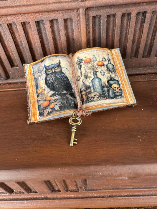 Black Owl and Potions Open Book - 1:12 Scale