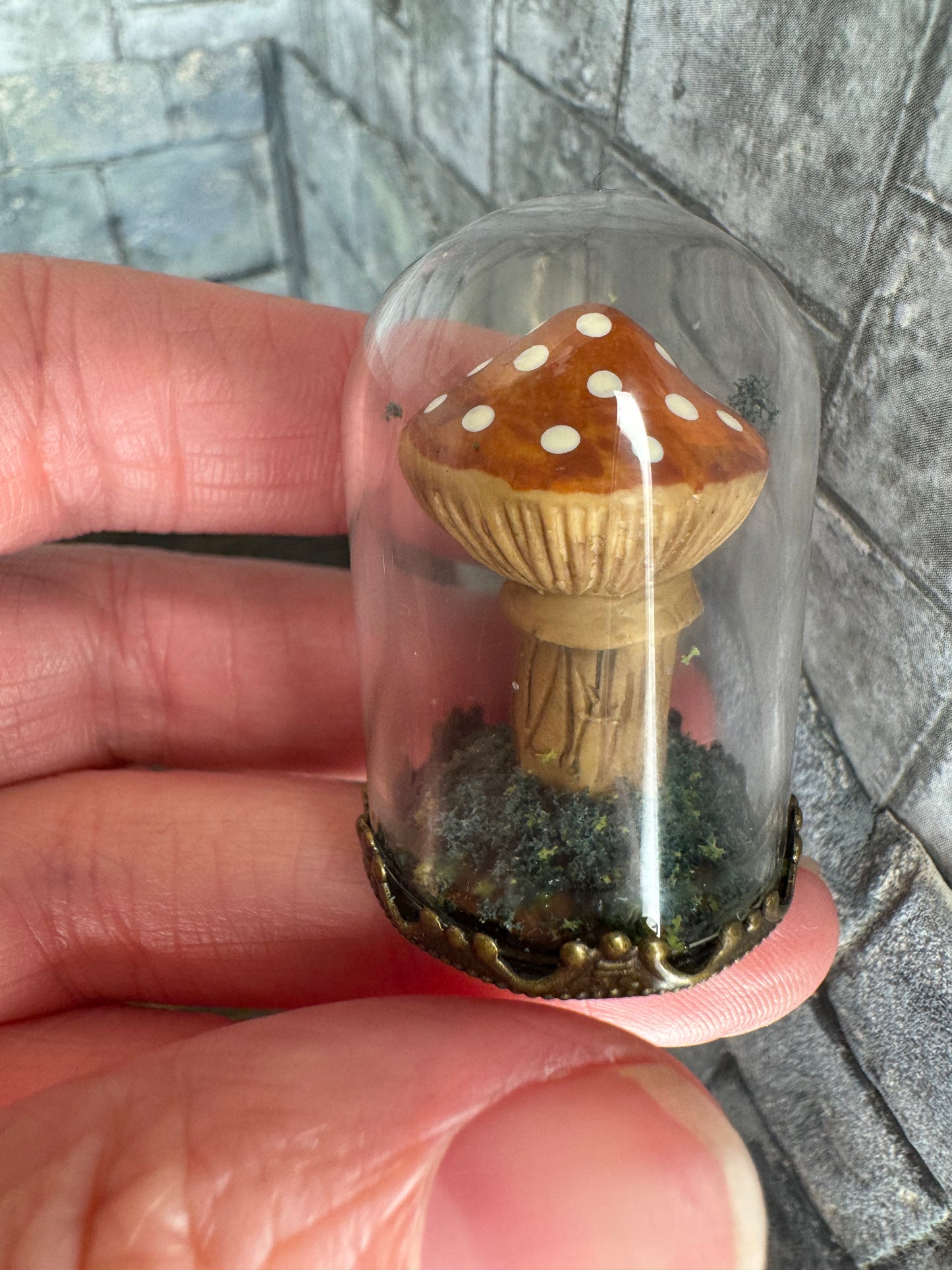 Mushroom Under a Dome - 1:12 Scale