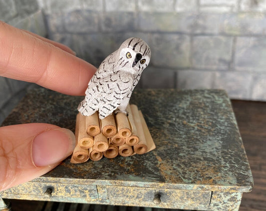 Owl on Scroll Stack